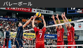 バレーボール大会
