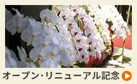 オープン・リニューアル記念