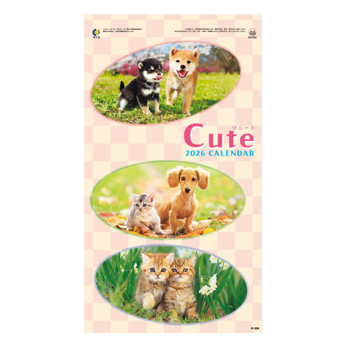キュート（CUTE）